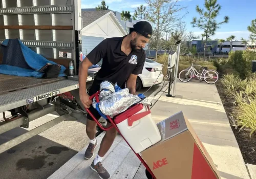 7f2d0cc4-7ce2-41e7-9cd2-84c65b3e6a50